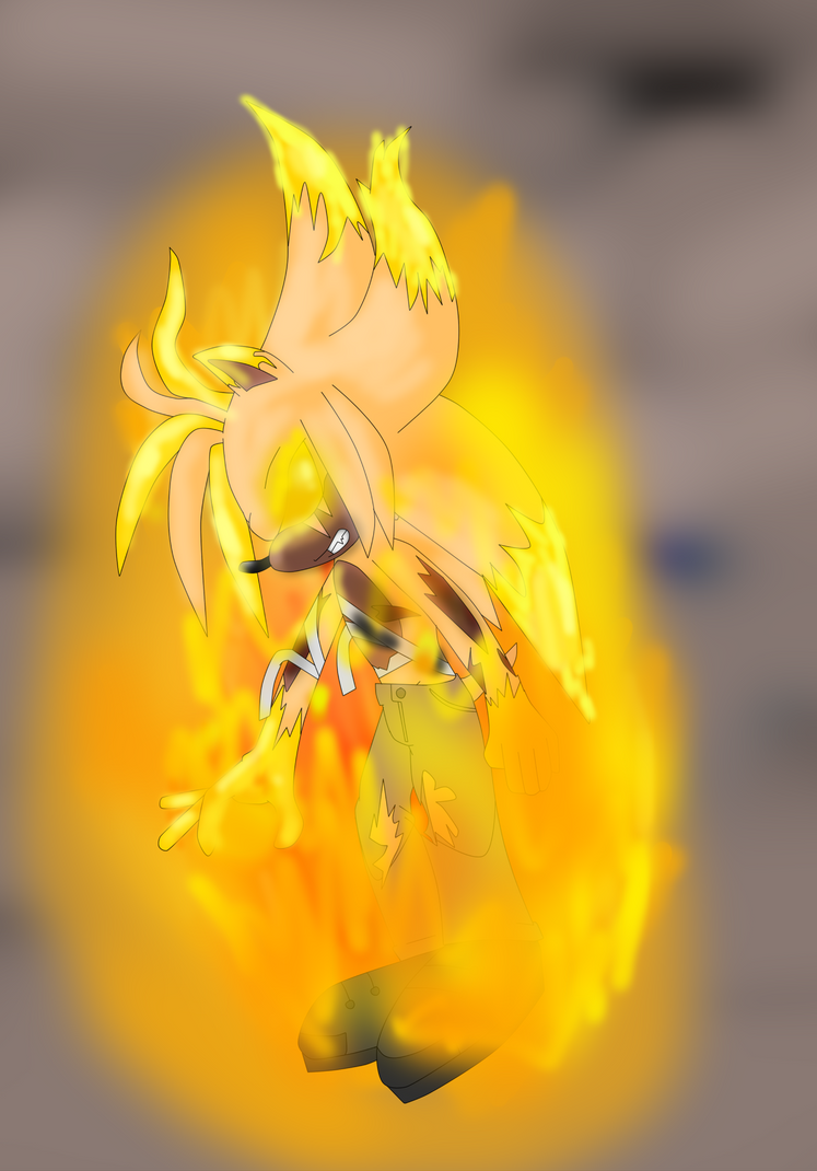 __fire_within___by_therealburningfox-d8pbsj5.png