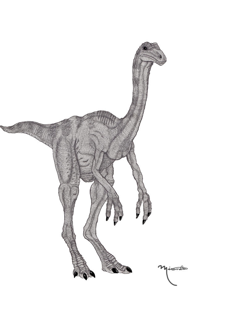 gallimimus coloring pages - photo #37