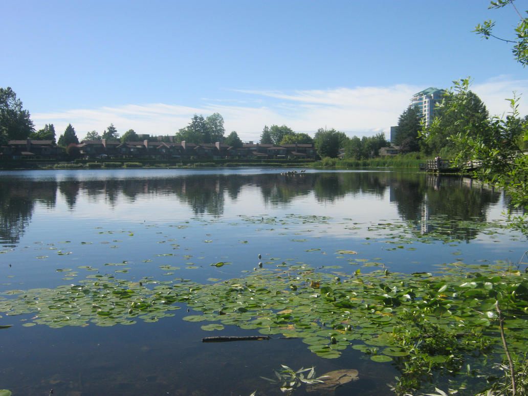 Mill Lake
