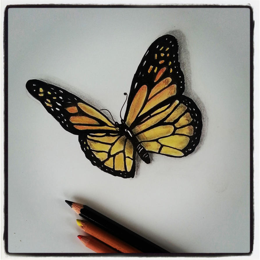 Butterfly pencil drawing by Dee-Deviantart on DeviantArt