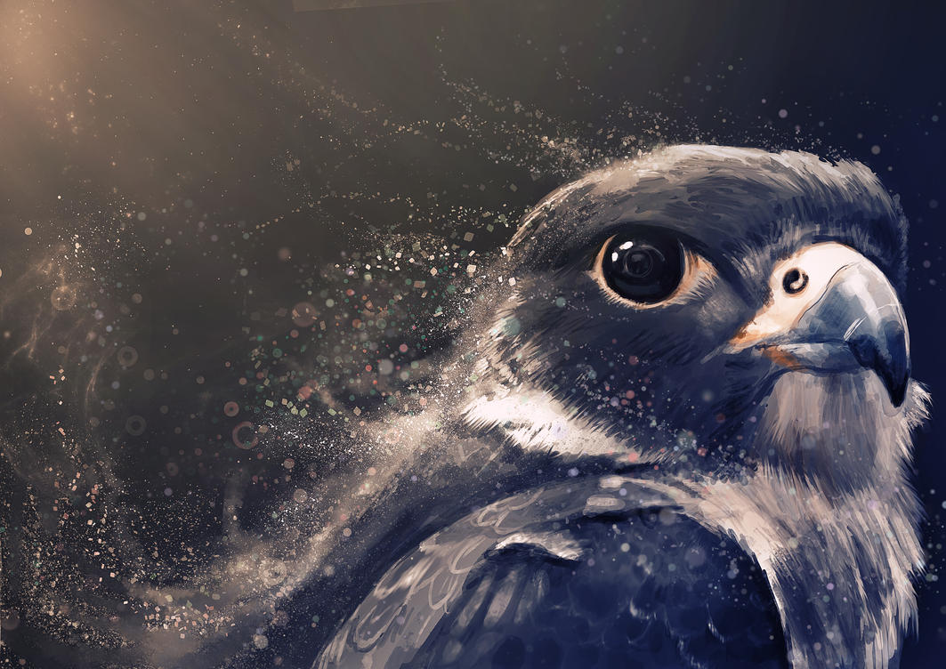 Peregrine by Delun