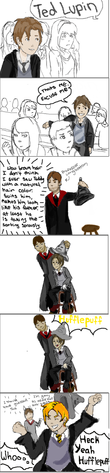 Teddy Lupin and the Sorting by DidxSomeonexSayxMad on DeviantArt