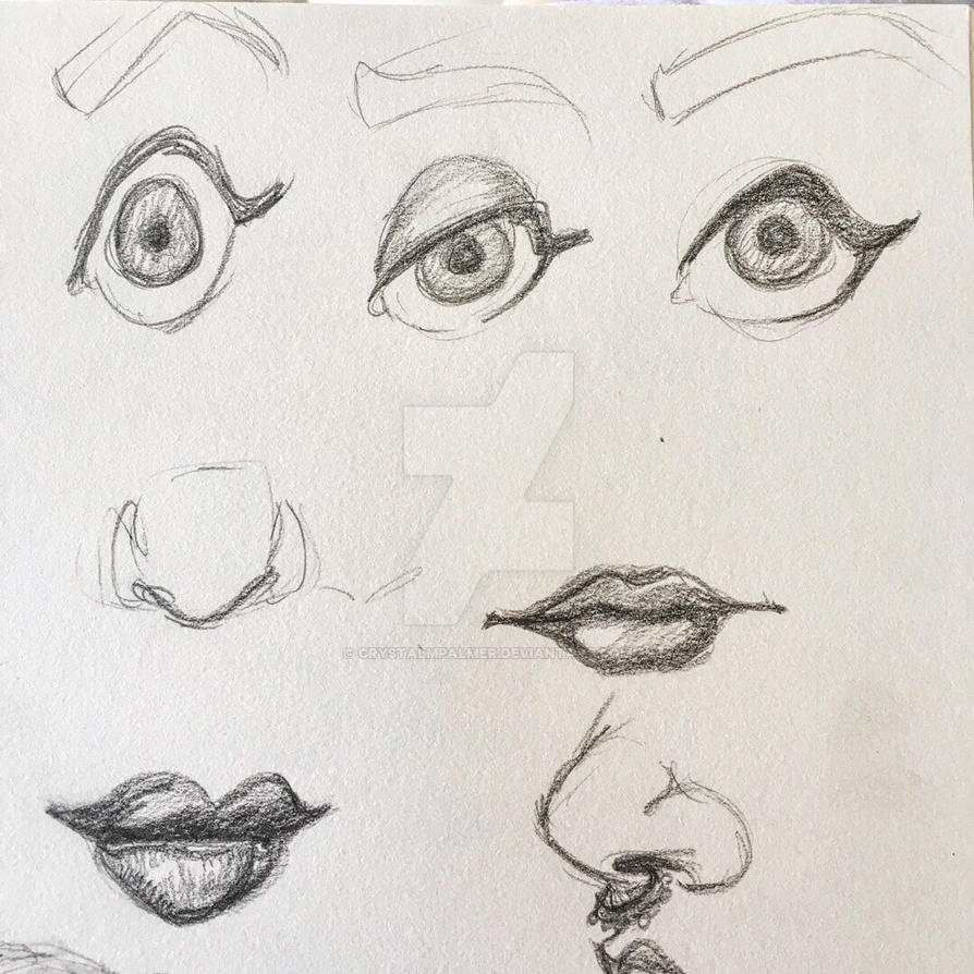 Eyes, nose, mouth pencil sketches by crystalmpalmer on DeviantArt